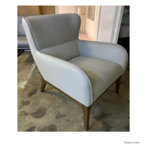 Tristan Leather Chair