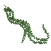 Green ambrosia berry
