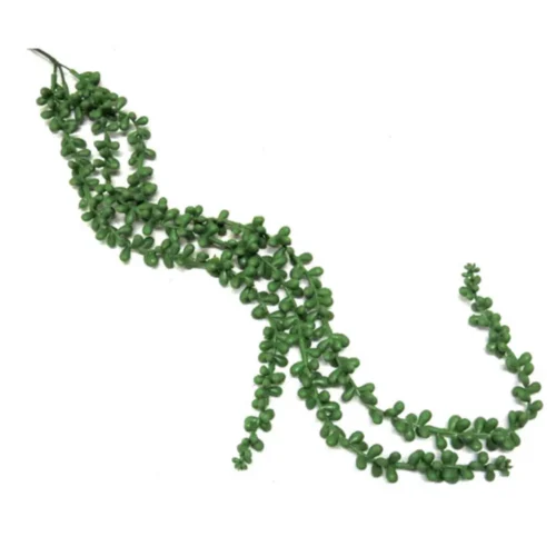 Green ambrosia berry