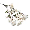 Sakura Blossom white