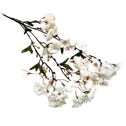 Sakura Blossom white