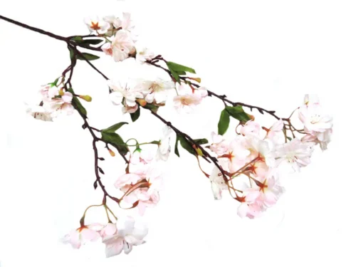 Sakura blossom pink touch