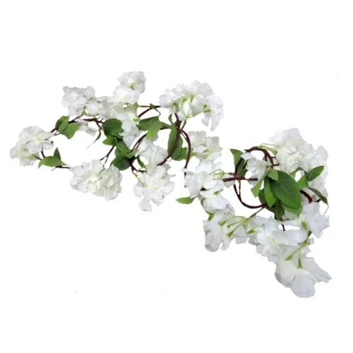 Cherry drape white