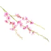Lilac butterfly orchid