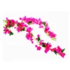 Bougainvillea cascade