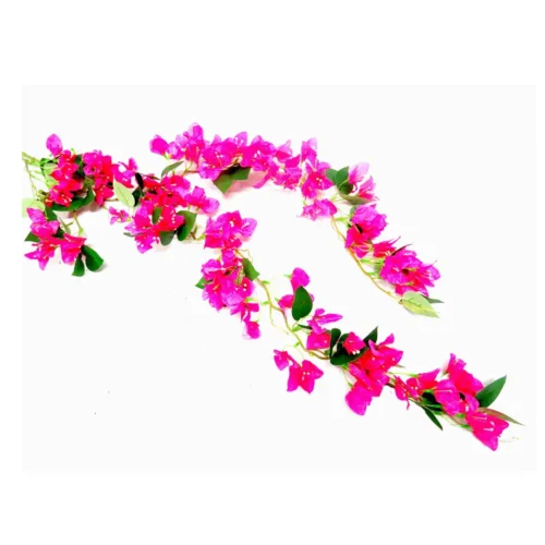 Bougainvillea cascade