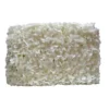 Hydrangea backdrop white