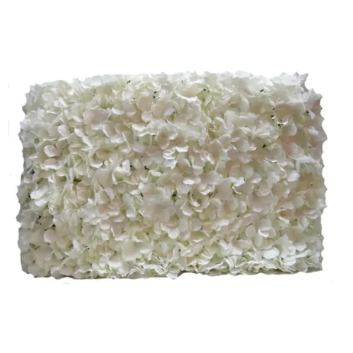 Hydrangea backdrop white