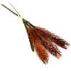 Taupe reed