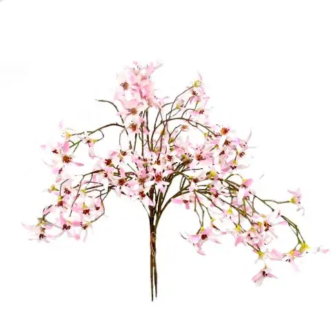 Bloom & wild bunch