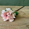 Peony breathless 60cml