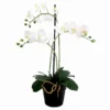 White Luxury orchid 62.5cmh