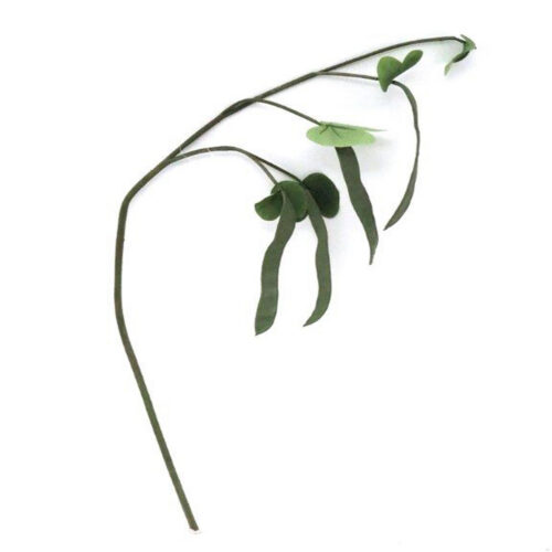 camelpod stem