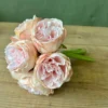 Alexa peony bunch