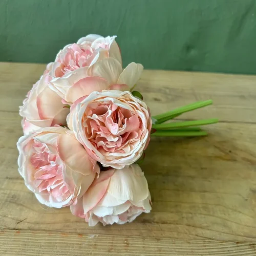 Rosella peony bunch