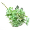 Green lilac stem