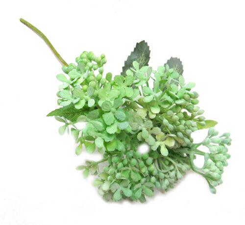 Green lilac stem
