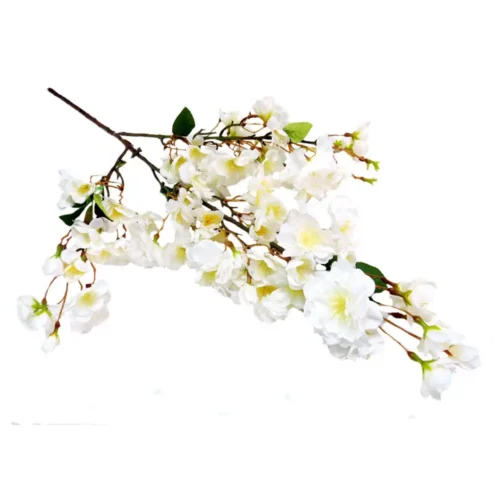 Blossom fabulous