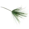 Umbrella grass stem