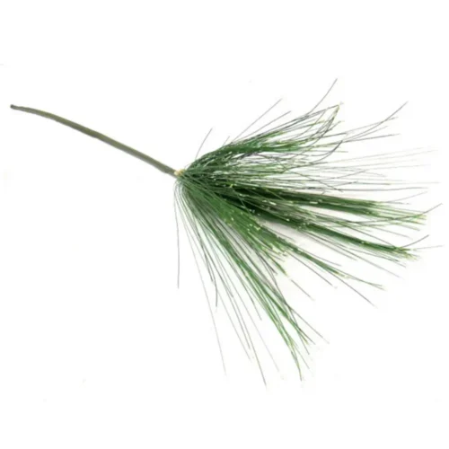 Umbrella grass stem
