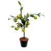 Fantasy pear tree