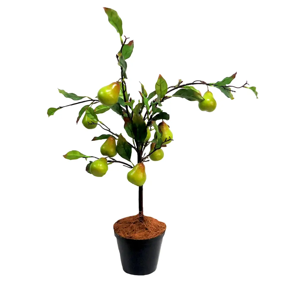 Fantasy pear tree