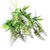 Grape hyacinth blue
