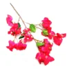 Bougainvillea bloomer