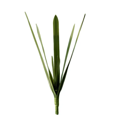 New growth sprouting leaf