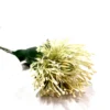 White pincushion 73cml