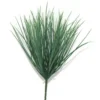 Dassiebush 35cml