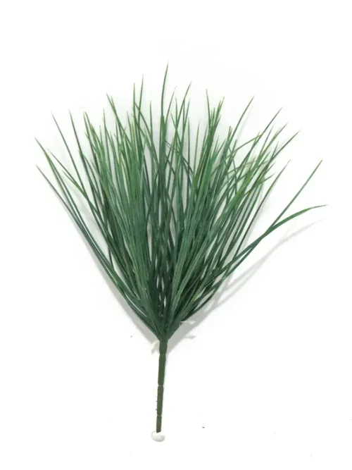 Dassiebush 35cml