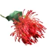 Red pincushion