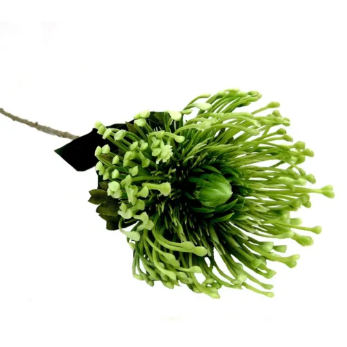 Pincushion greenfingers