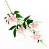 Clematis soft pink