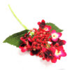 Red budding hydrangea