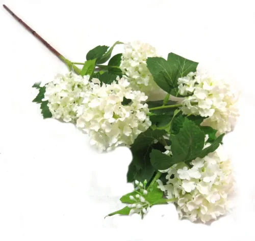 White snowball spray