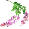 Wisteria spray
