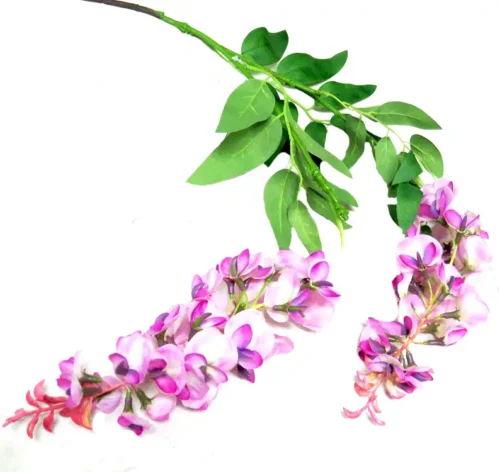 Wisteria spray
