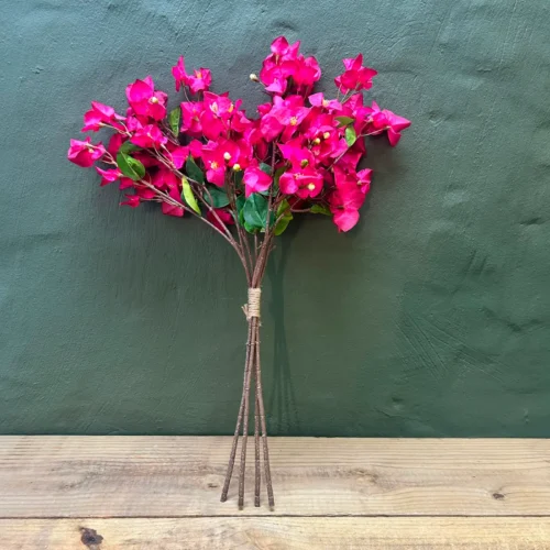 Bougainvillea bliss bunch 70cml
