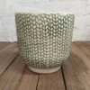 Creeping Ivy pot 17x17