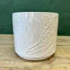 Cathkin Peak Pot 17x15