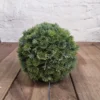 Nimbus Artificial Greenery Ball 18 cm