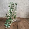 Whispering Ivy hanging plant 94cm