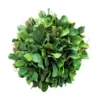 Seakale Artificial Greenery Ball 24 cm