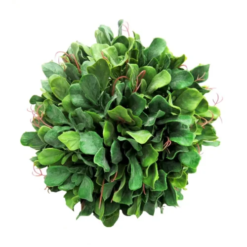 Seakale Artificial Greenery Ball 24 cm