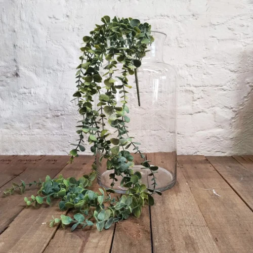 Hanging Eucaleaf plant 100cm