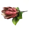Protea Perfection Dusky Cranberry