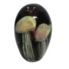 Bioluminescence 11.5cm