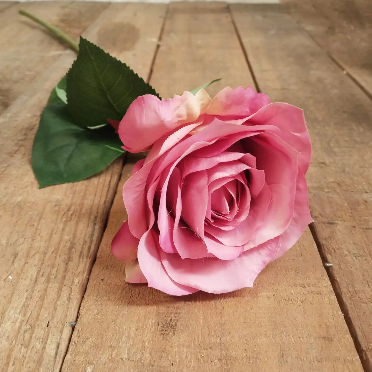 Aurora bloom rose 67cm